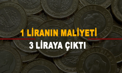 1 liranın maliyeti 3 liraya çıktı