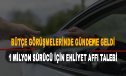 Bütçe görüşmelerinde gündeme geldi: 1 milyon sürücü için ehliyet affı talebi