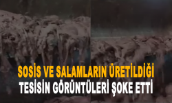 Sosis ve salamların üretildiği tesisin görüntüleri şoke etti