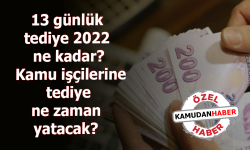 13 günlük tediye 2022 ne kadar? Kamu işçilerine tediye ne zaman yatacak?