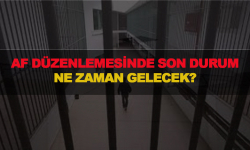 Af düzenlemesinde son durum, Ne zaman gelecek?