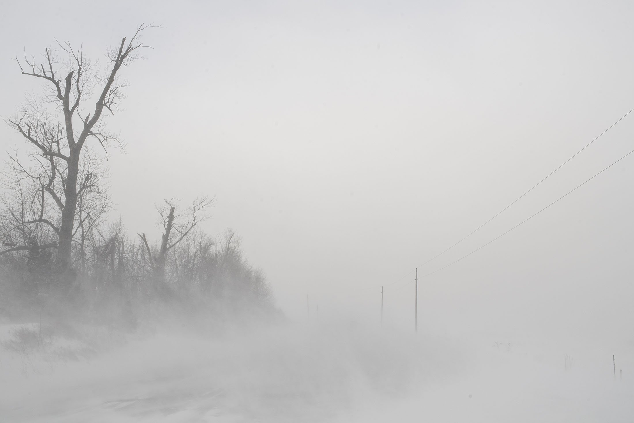 Linn County, Iowa, ABD kırsalında esen kar görüşü olumsuz etkiliyor, 23 Aralık 2022. (AP Fotoğrafı)