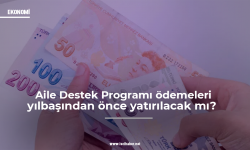 Aile Destek Programı ödemeleri yılbaşından önce yatırılacak mı?