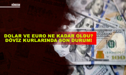 Dolar ve Euro ne kadar oldu? Döviz kurlarında son durum