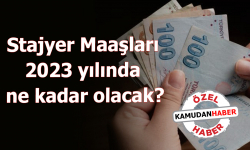 Stajyer Maaşları 2023 yılında ne kadar olacak?