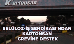 Selüloz-İş Sendikası'ndan Kartonsan grevine destek