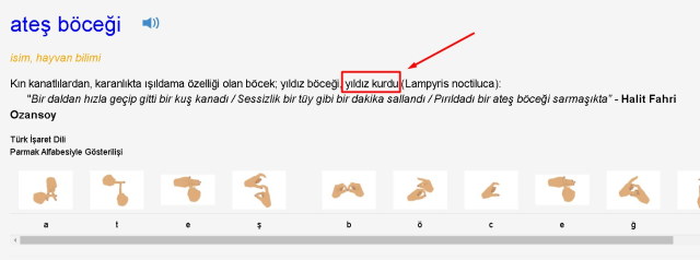 Hangisi ateş böceğinin diğer adıdır?... Kim Milyoner Olmak İster 15 Ağustos Sorusu Cevabı Nedir? 100 Bin TL'lik soru ve cevabı ne?