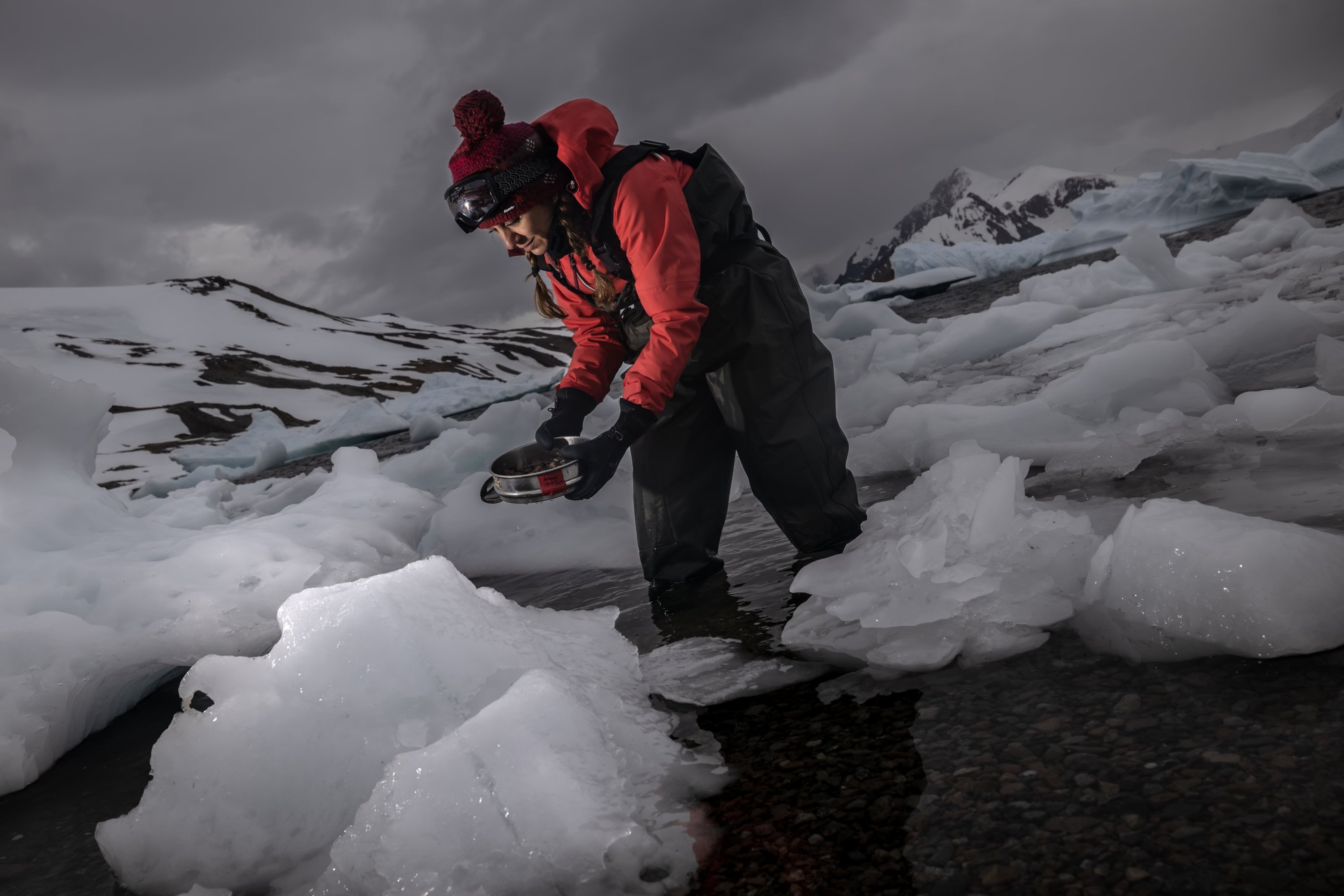 Profesör Ülgen Aytan, Antarktika'daki Horseshoe Adası'nda araştırma yapıyor, 28 Şubat 2024. (AA Fotoğraf)