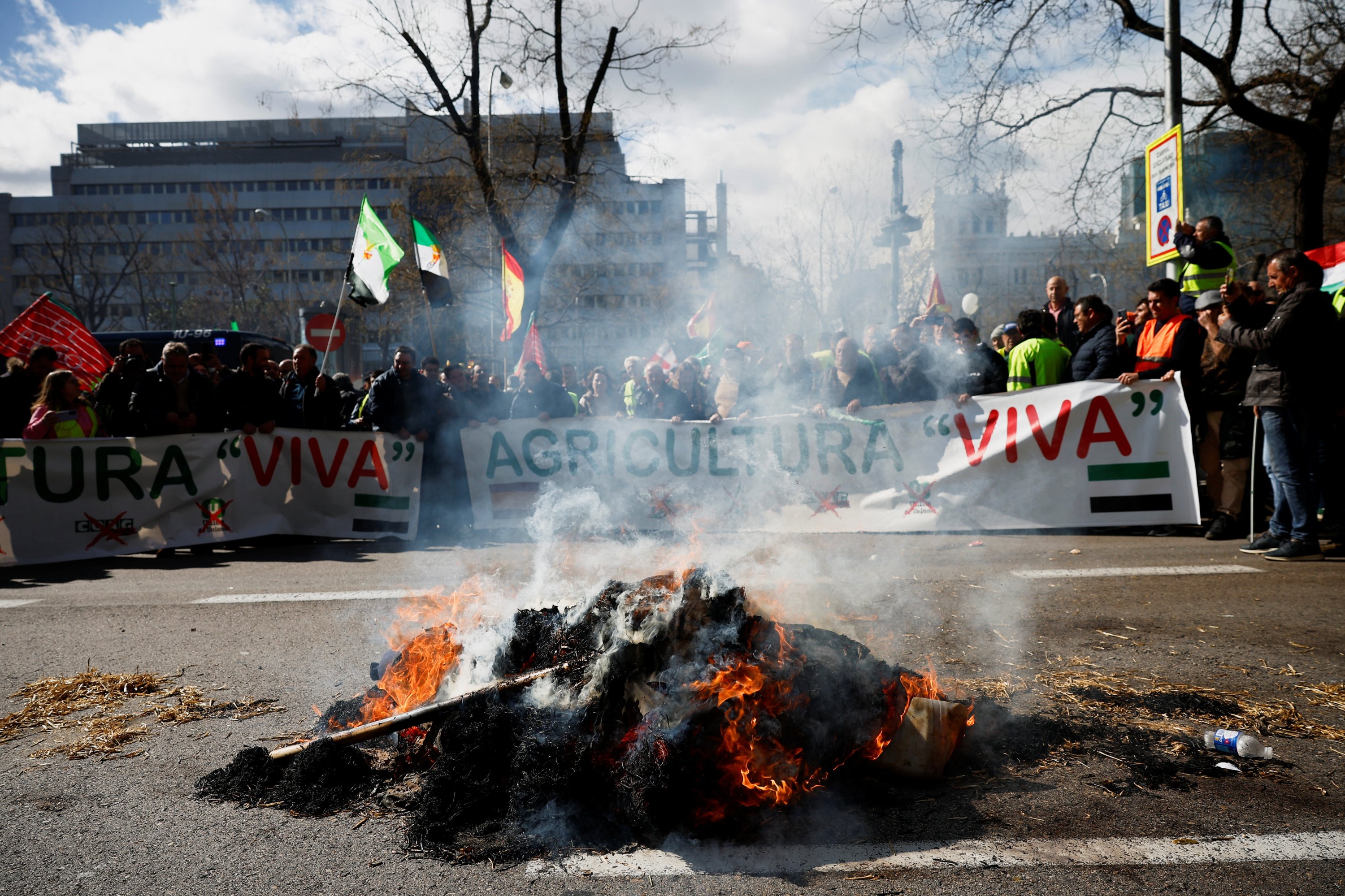 İspanyol çiftçiler fiyat baskılarını, vergileri, yeşil düzenlemeleri ve Avrupa genelindeki çiftçilerin paylaştığı şikayetleri protesto etti, Madrid, İspanya'nın Paseo de la Castellana caddesinde, 26 Şubat 2024. (Reuters Fotoğrafı)