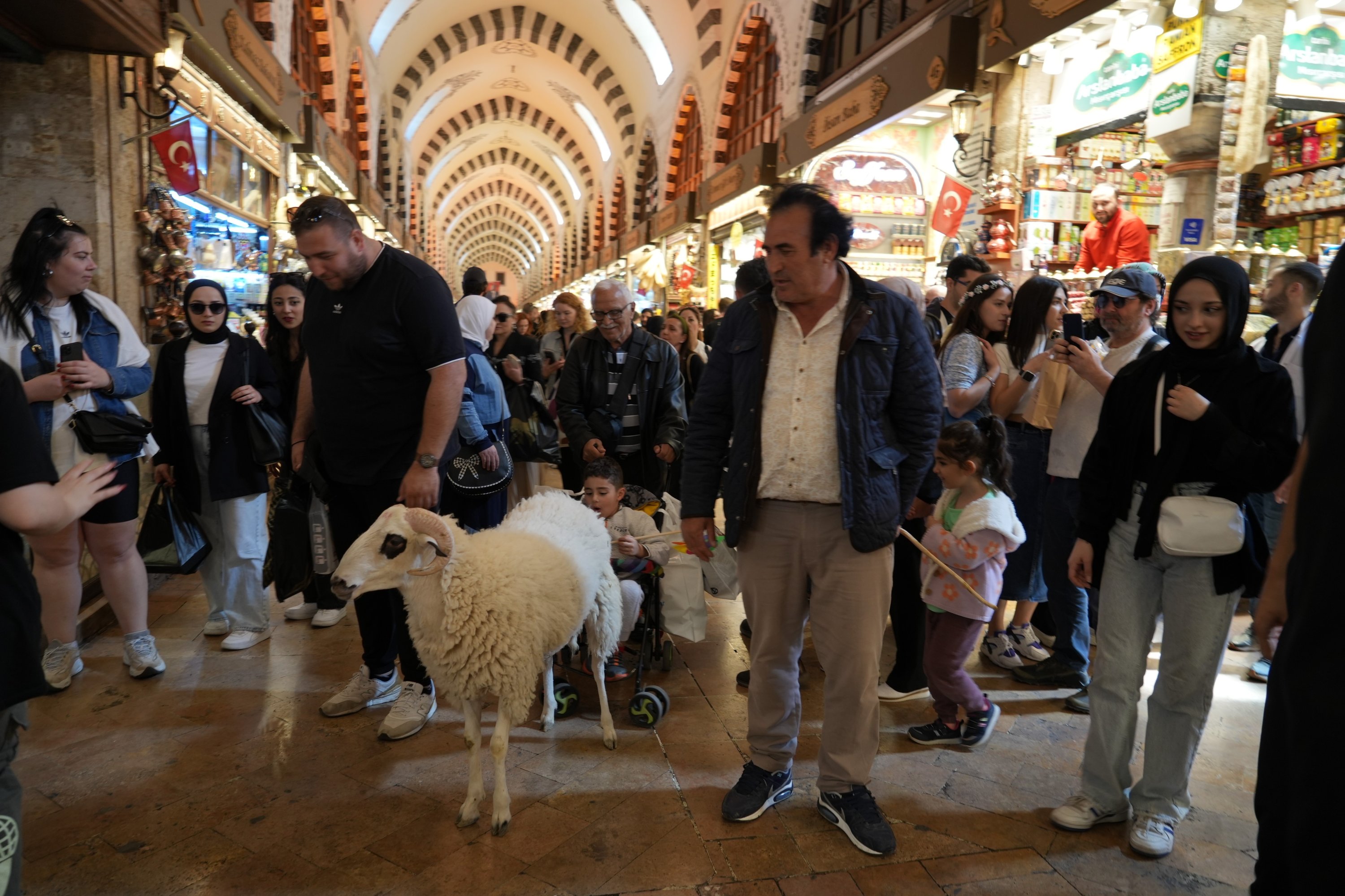 Yakup Çeviç ve koyunları Dadaş Mısır Çarşısı'nda geziniyor, İstanbul, Türkiye, 9 Mayıs 2024. (IHA Fotoğrafı)